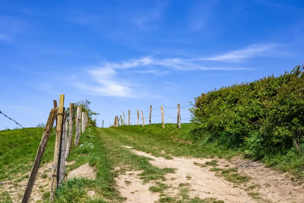 Rural property access road with fence line clearing